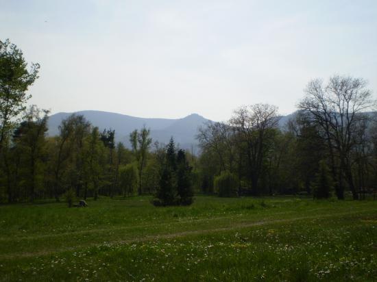 Altitona (Massif du Mont-Sainte-Odile, Alsace) - Vue depuis le domaine de la Leonardsau.